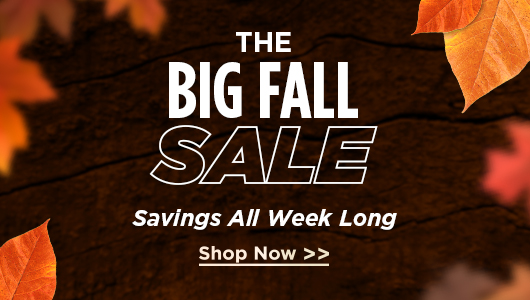 The Big Fall Sale